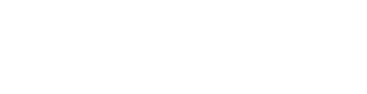 WordCamp NYC 2015